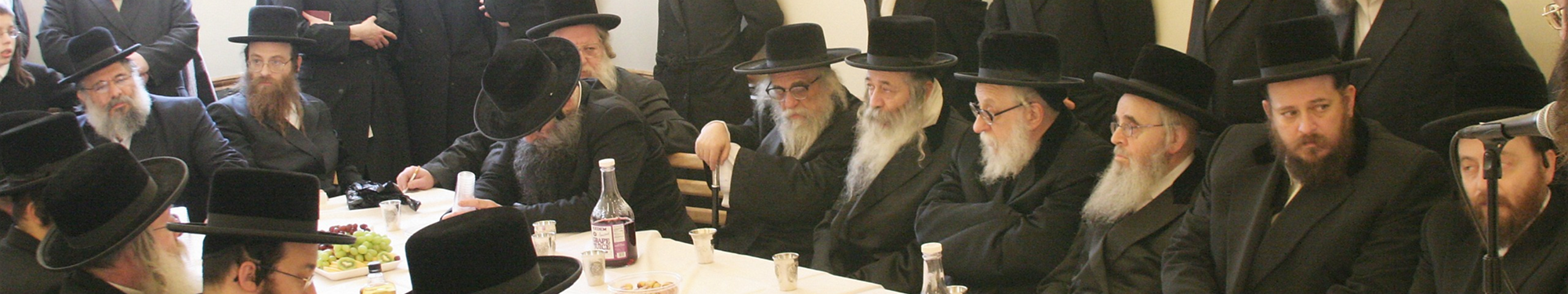 Rabbinical Supporters Banner